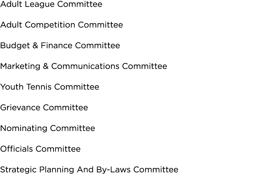 Adult League Committee Adult Competition Committee Budget & Finance Committee Marketing & Communications Committee Yo   